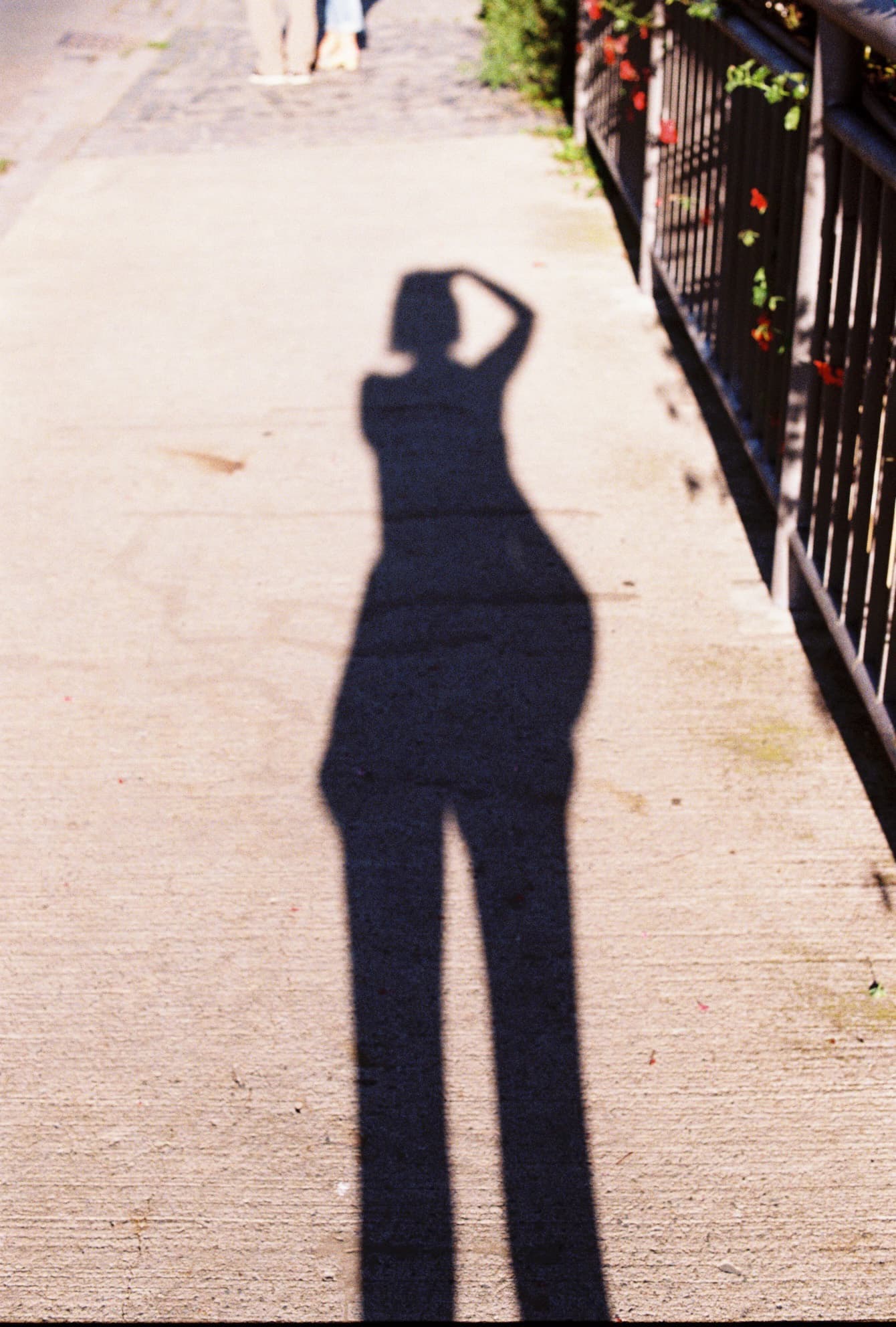 Bamberg solo travel. Shadow Bamberg solo travel. Shadow