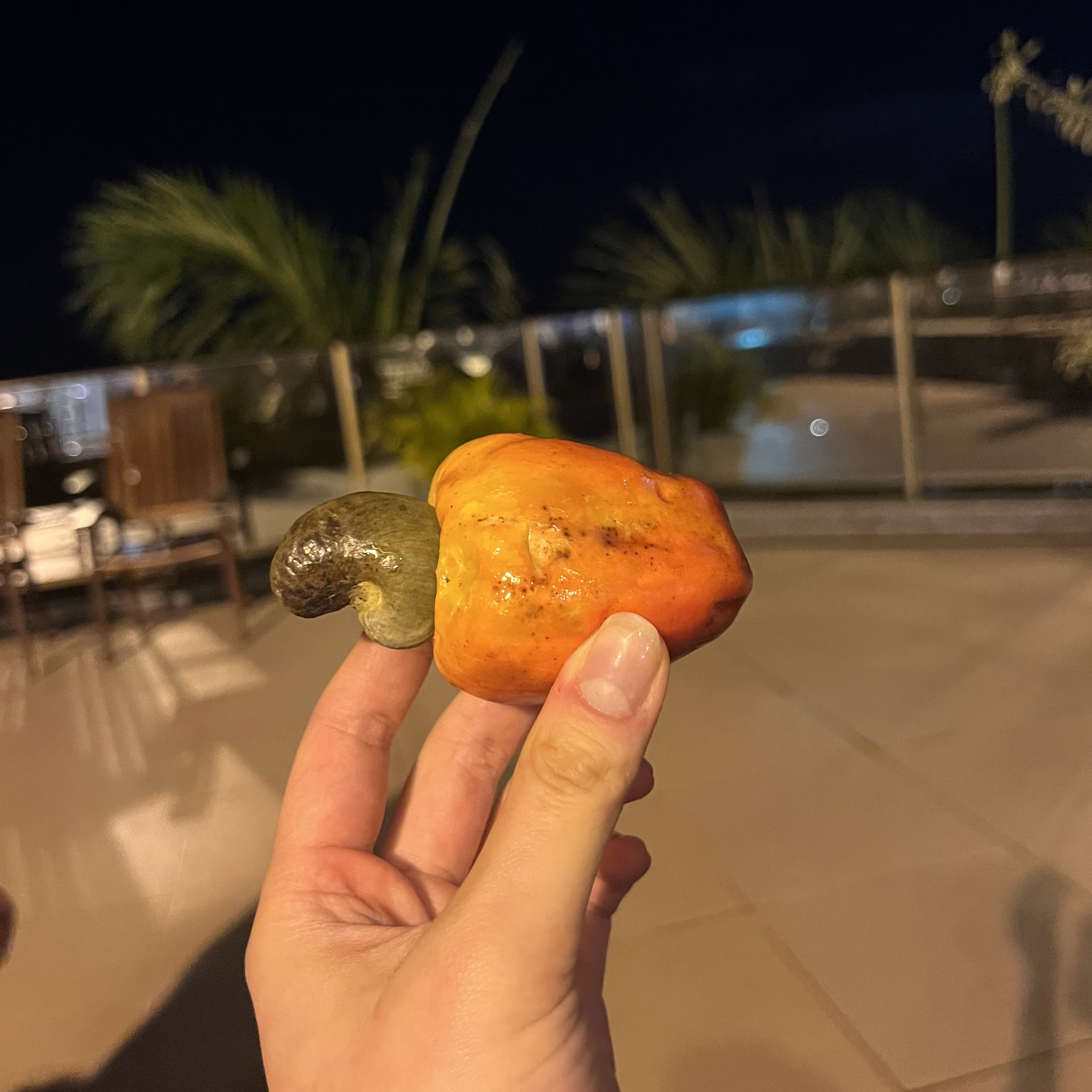 Cashew fruit